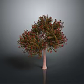 Vibrant Tree with Red and Green Leaves and Light Trunk Against Gray Background with Reflection
