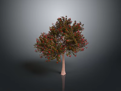 Vibrant Tree with Red and Green Leaves and Light Trunk Against Gray Background with Reflection 3d model