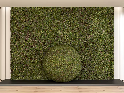 Indoor Plant Combination With Green Living Wall And Round Topiary Ball 3d model