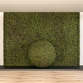Indoor Plant Combination With Green Living Wall And Round Topiary Ball