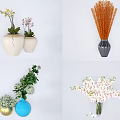 Decorative Vases With Colorful Flowers And Green Plants For Home Decoration