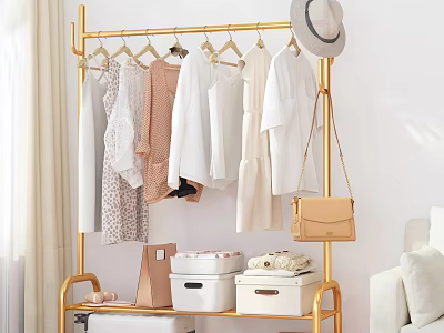 Golden Metal Clothes Rack With Hanging Clothes Hat And Storage Boxes In Living Room 3d model