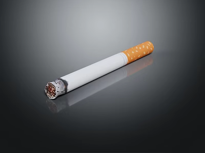 Isolated Burned Cigarette With White Body Orange Filter On Dark Background 3d model