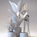 Green Potted Plants With Large Tropical Leaves And Ceramic Pots For Home Decor