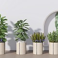 Modern Green Plant Potted Big Leaf Plant 3d model