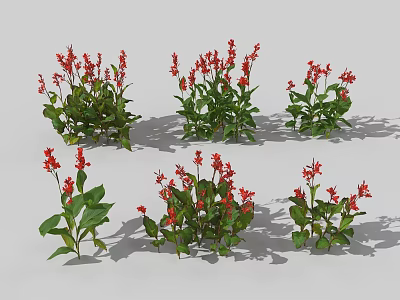 Red Flowering Plants with Green Leaves in Various Forms for Garden Landscaping or Potted 3d model