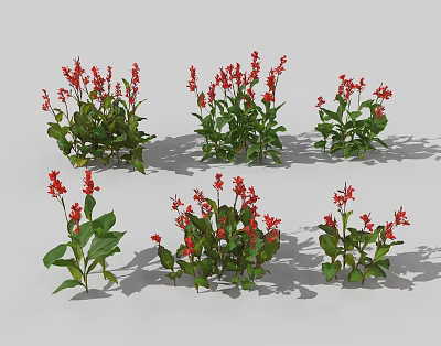 Red Flowering Plants with Green Leaves in Various Forms for Garden Landscaping or Potted 3d model