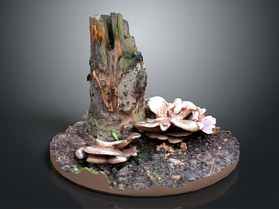 Natural Wooden Stump Decor With Stone Base Mushrooms Soil And Moss 3d model