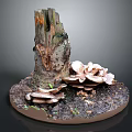Natural Wooden Stump Decor With Stone Base Mushrooms Soil And Moss