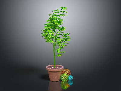 Green Indoor Plant in Brown Pot with Colorful Decorative Balls on Gray Background 3d model