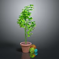 Green Indoor Plant in Brown Pot with Colorful Decorative Balls on Gray Background