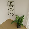 Wall Mounted Glass Shelving Unit With Black Metal Frame And Green Plant In Room Corner