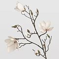 Minimalist Decorative Ornament Set with Textured Vases White Flower Branches and Buds
