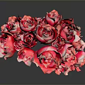Red Roses Bouquet in Arc Shape for Decorative Living Space with Dark Background Reflection
