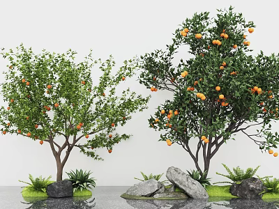 Two Fruit Trees with Orange Fruits Green Grass and Stones Against White Wall 3d model