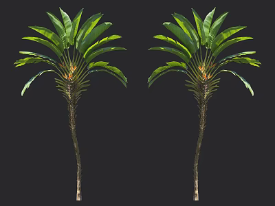 Two Tall Tropical Palm Trees With Long Green Leaves And Slender Trunks 3d model