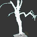 Dead Tree with Thick Trunk and Withered Branches Without Leaves on Dark Background 3d model