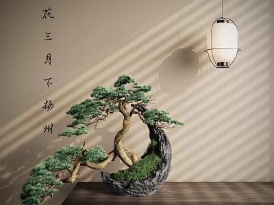 Traditional Chinese Pine Bonsai Plant in Stone Pot with Hanging Lantern and Calligraphy 3d model