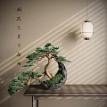Traditional Chinese Pine Bonsai Plant in Stone Pot with Hanging Lantern and Calligraphy