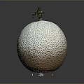 Fresh Whole Cantaloupe Melon With Netted Surface And Green Stem On Dark Background