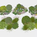 Diverse Garden Shrubs With Greenery Herbs And Colorful Flowers In Clusters