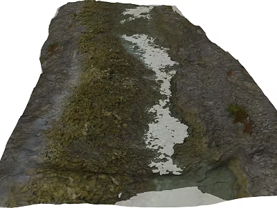 Natural Garden Ornament With Moss Covered Rock And Small Plants 3d model