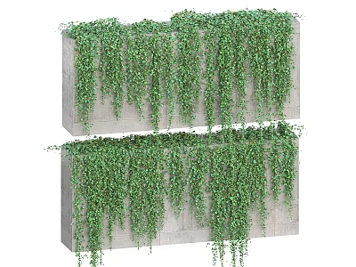 Lush Green Vines Growing On Concrete Walls With Hanging Foliage And Vertical Coverage 3d model