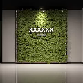 Decorative Green Plant Wall Design With White Text Elements And Lush Foliage