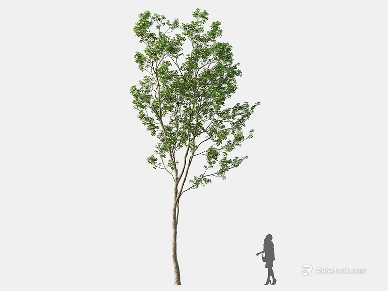 Tall Arbor With Green Leaves And Little Girl Silhouette Standing Nearby 3d model 