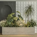 Potted Plants In Concrete Rectangular Planter With Tropical Leaves Palm Cactus And Small White Flowers