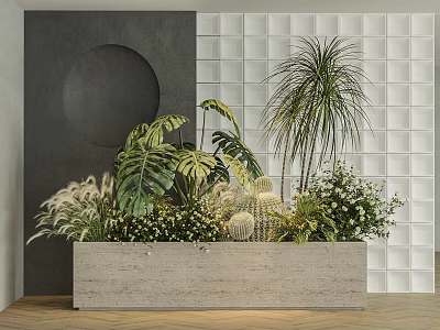 Potted Plants In Concrete Rectangular Planter With Tropical Leaves Palm Cactus And Small White Flowers 3d model