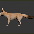Realistic 3D Fox Model with Light Brown Fur Large Ears and Long Tail