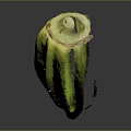 Fresh Green Okra Vegetable on Black Background with Reflection and Healthy Look