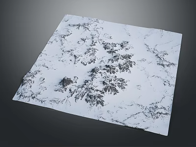 Square White Terrain Surface With Dark Topographic Texture And Mountainous Features 3d model