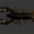 Realistic 3D Lobster Model With Brown Yellow Coloration And Large Claws On Gray Background