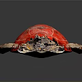 Turtle Cartoon Turtle Snapping Turtle Chickbill Turtle Reptile Cold Blooded Animal Reptile Class 3d model