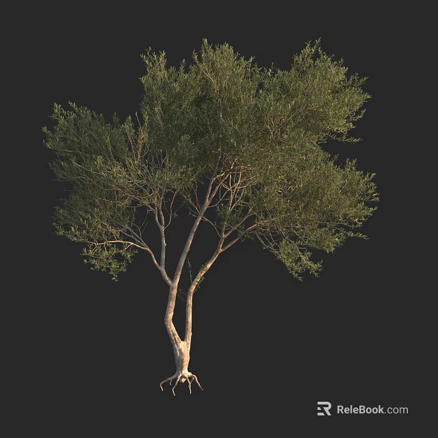 Lush Green Arbor With Branched Trunk And Dense Foliage In Natural Scene 3d model 