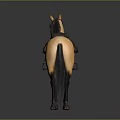Equestrian Equipment Saddle and Bridle with Horse Riding Gear Setup