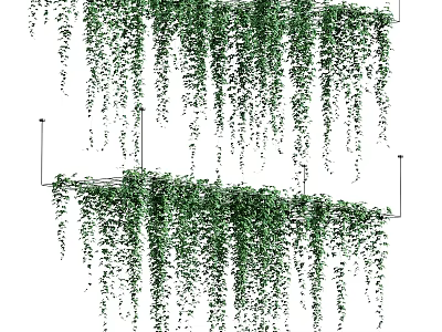 Green Hanging Vines Ornamental Decoration Set With Lush Foliage For Home Decor 3d model