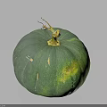 Fresh Organic Green Pumpkin With Natural Stem And Shiny Surface On Dark Background