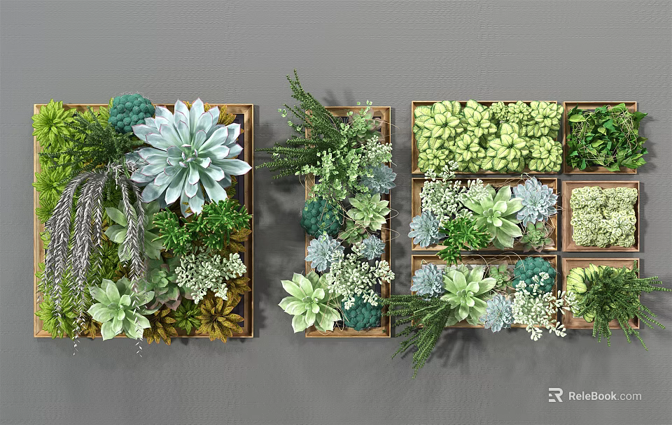 Green Plant Wall With Wooden Frames And Various Succulents Neatly Arranged 3d model 