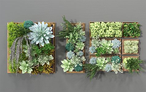 Modern Plant Wall 3d model