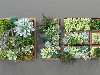 Modern Plant Wall 3d model