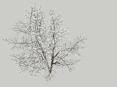 Snow Covered Arbor with Delicate Branches in Winter Natural Landscape 3d model