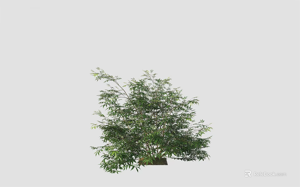 Lush Green Arbor With Dense Foliage And Strong Trunk In Natural Scene 3d model 