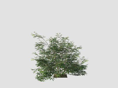 Lush Green Arbor With Dense Foliage And Strong Trunk In Natural Scene 3d model