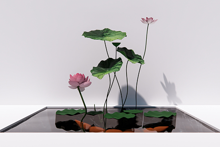 new chinese lotus leaf lotus root lotus canopy aquatic plant 3d model