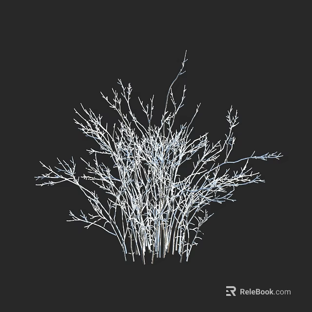 White Outline Shrub With Bare Branches Isolated On Black Background 3d model