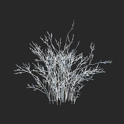 Modern Shrub Winter Snow Tree Snow Plant Snow Shrub 3d model
