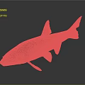 Detailed View of Light Brown Fish with Fins and Tail on Dark Reflective Background